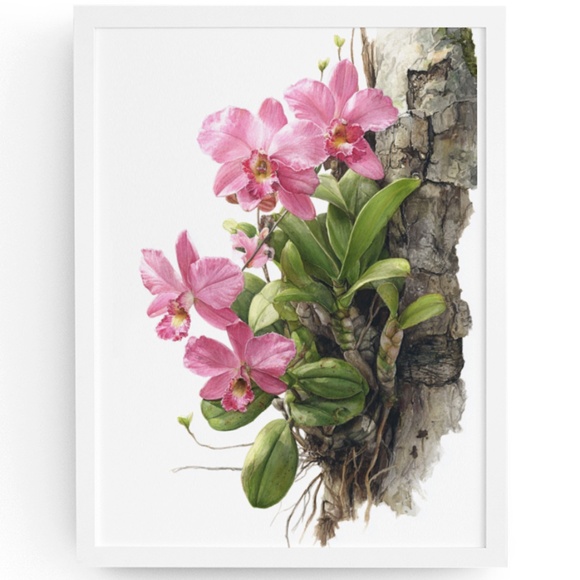 Watercolor Pink Orchids Wall Art Print Unframed - Elegant Floral Serenity - Picture 1 of 7
